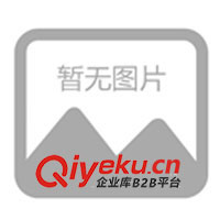 供應(yīng)全棉中、gd襯衫面料